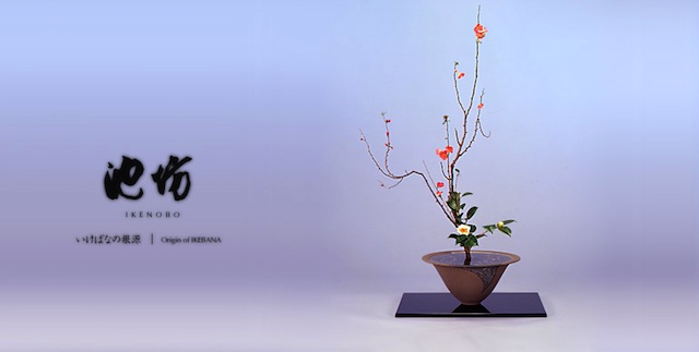 FLOWER-14