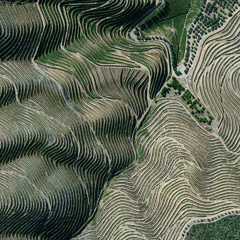 Douro+Valley+CUT
