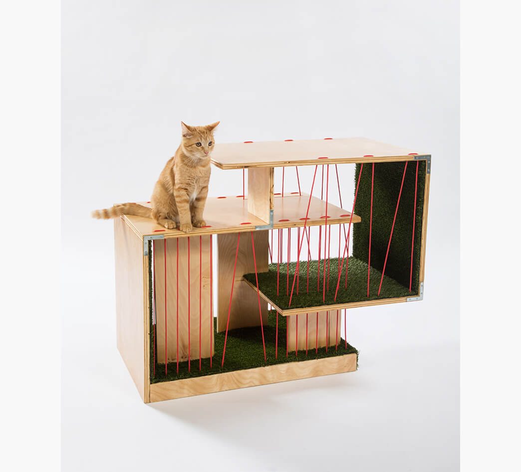 a-home-that-even-humans-would-covet-by-rnl-design