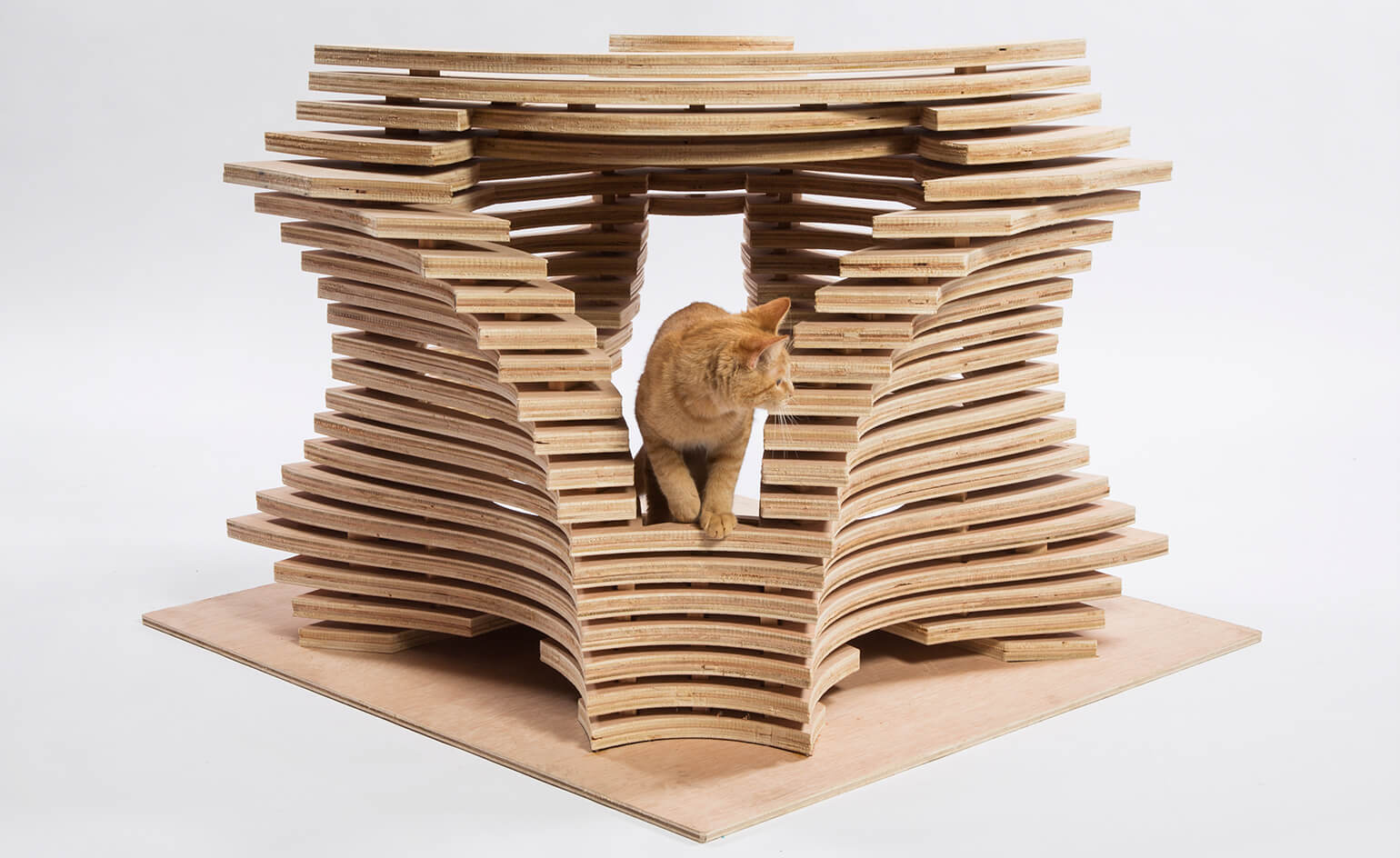 an-all-wood-design-by-callisonrtkl