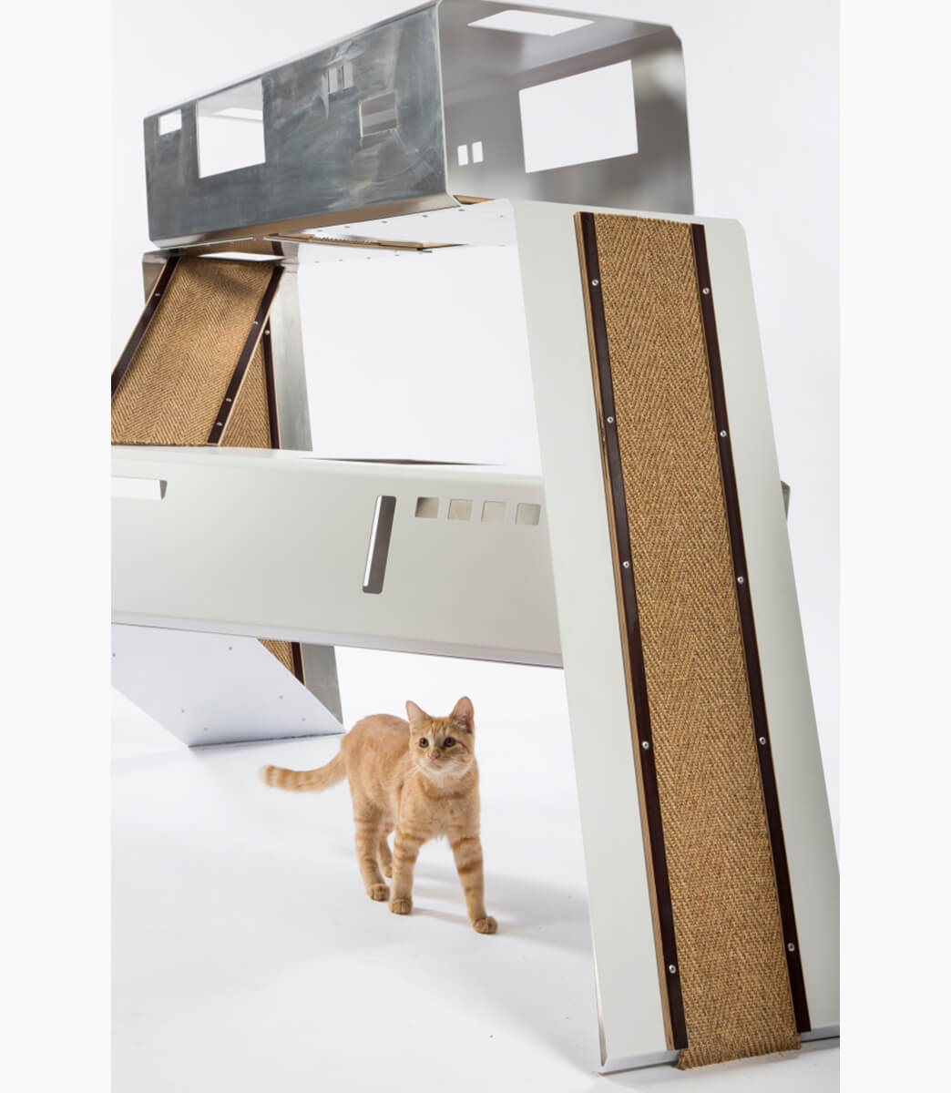 cat-club-by-warren-office-schmidt-designs