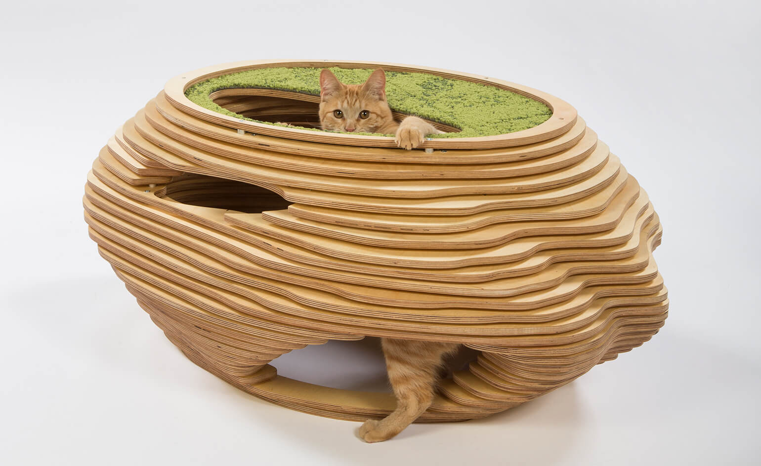 cat-in-the-fish-bowl-by-abramson-teiger-architects
