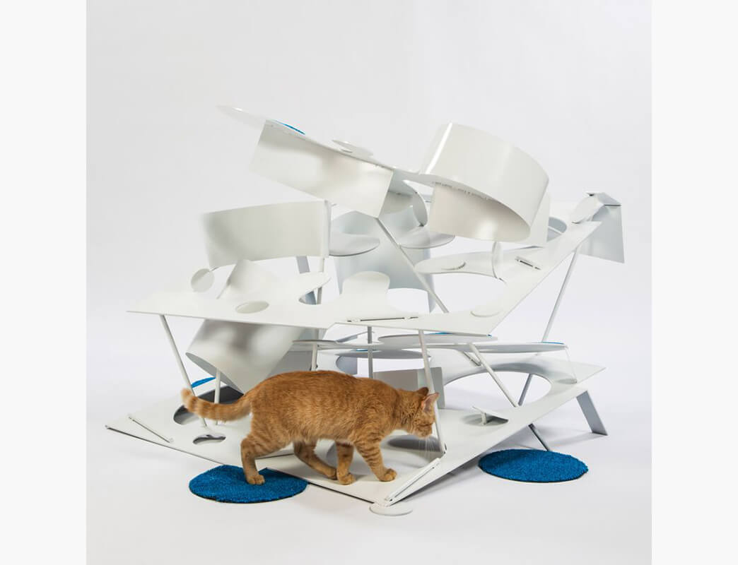 kittykurves-leherarchitects-jpg-838x0_q80