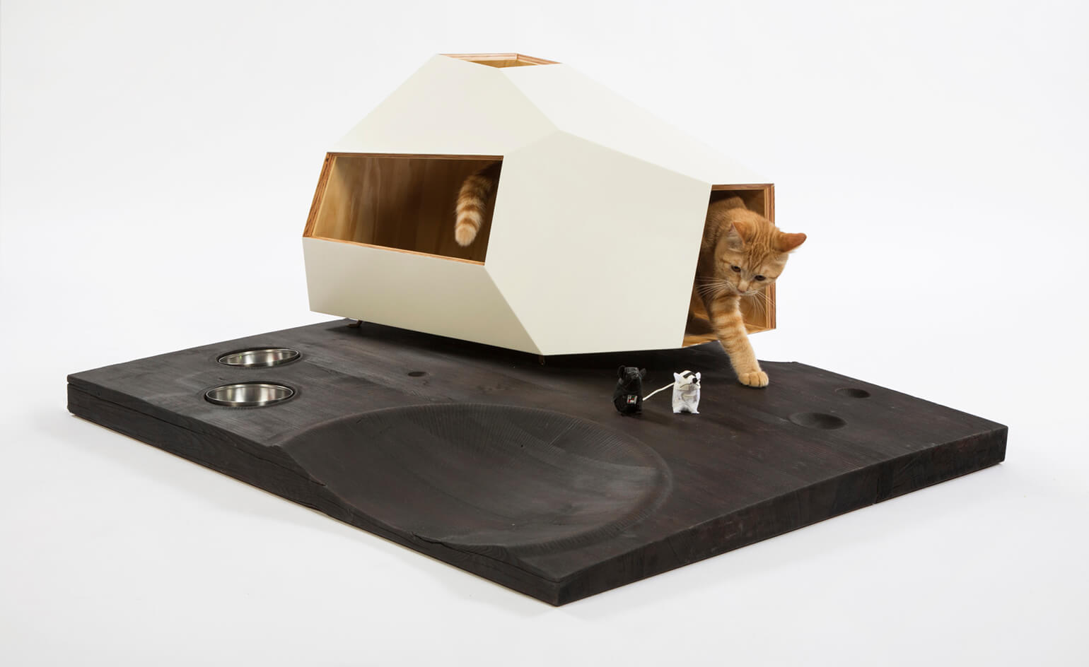 lunar-cat-lander-by-knowhow-shop