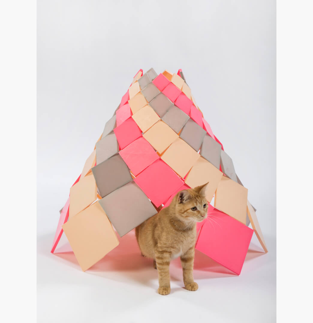 spiral-kitty-by-dsh-architecture