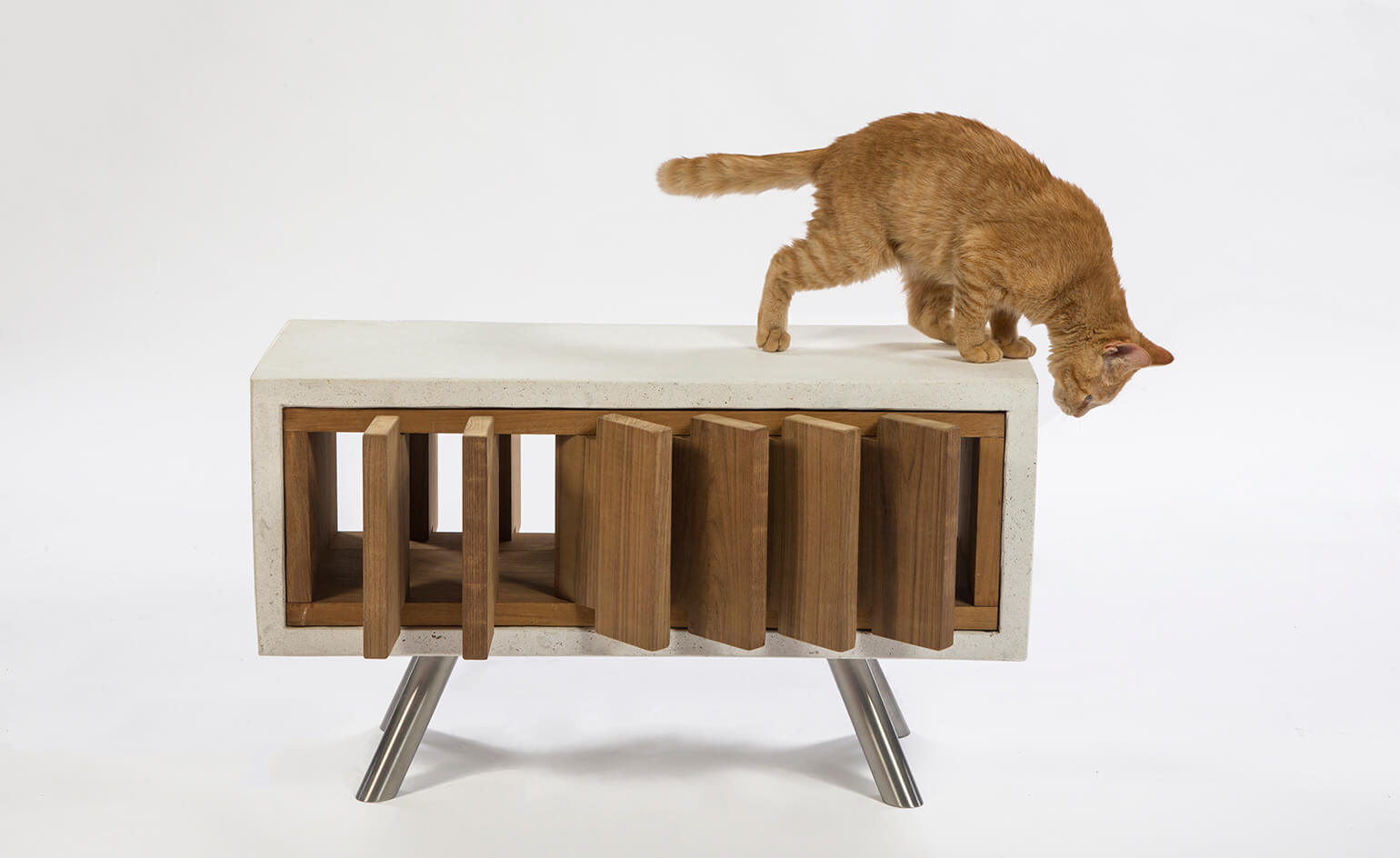 standard-architectures-california-catcube
