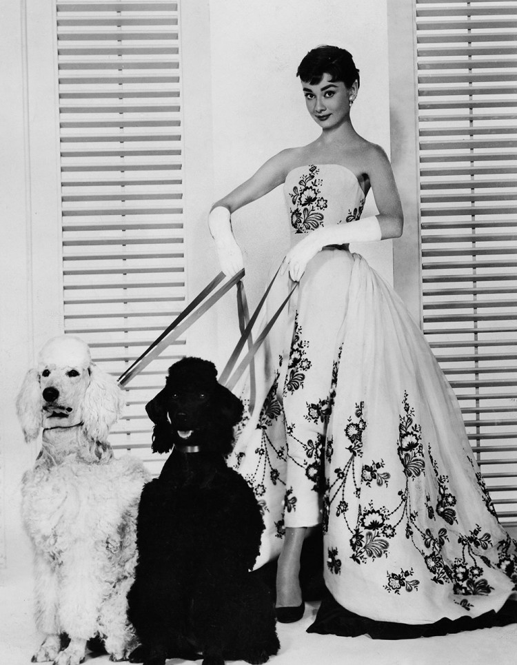 AudreyHepburn6-750×965