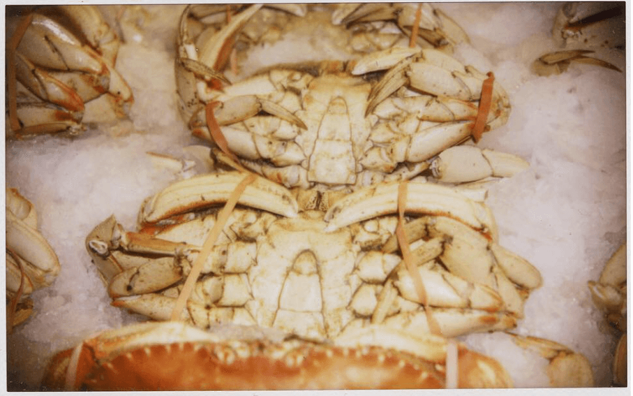 Fresh crabs at the #PikePlaceMarket in downtown Seattle.