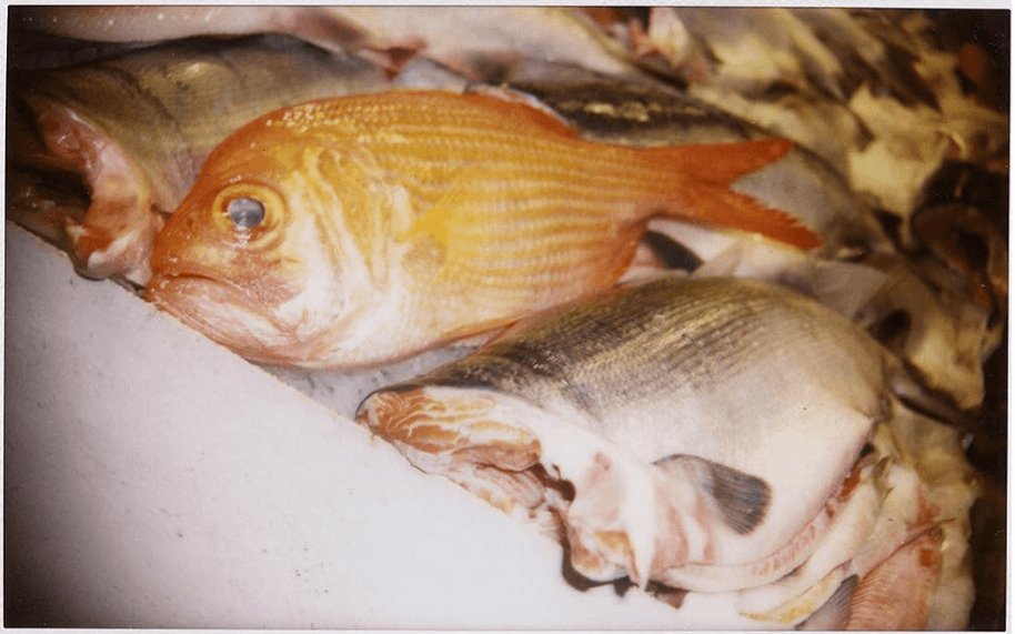 Fresh fish at the #PikePlaceMarket in downtown. Seattle.