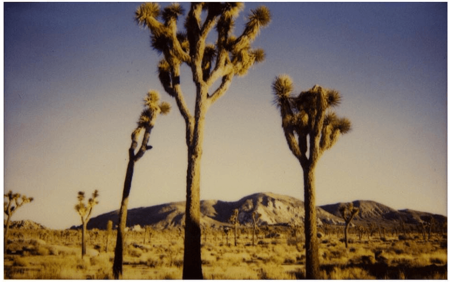 We hiked two nights in a row at #JoshuaTreeNationalPark, California.