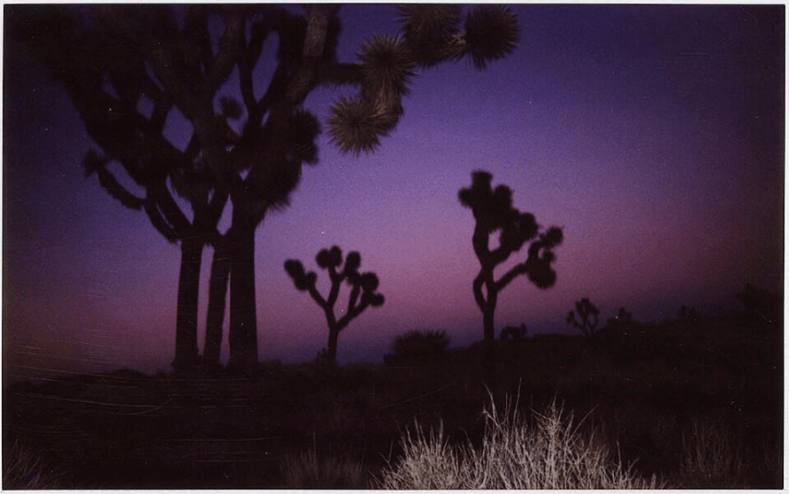 #joshuatreenationalpark on assignment for @natgeotravel in January.