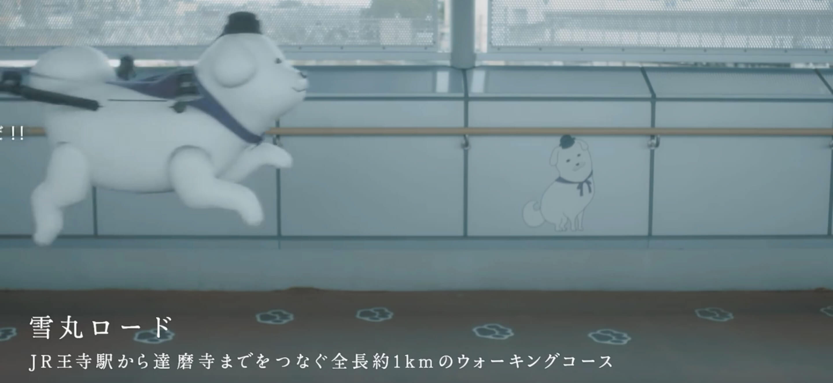 屏幕快照 2017-03-08 下午1.59.58副本