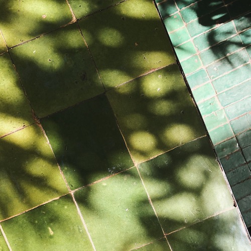 Processed with VSCO with a8 preset