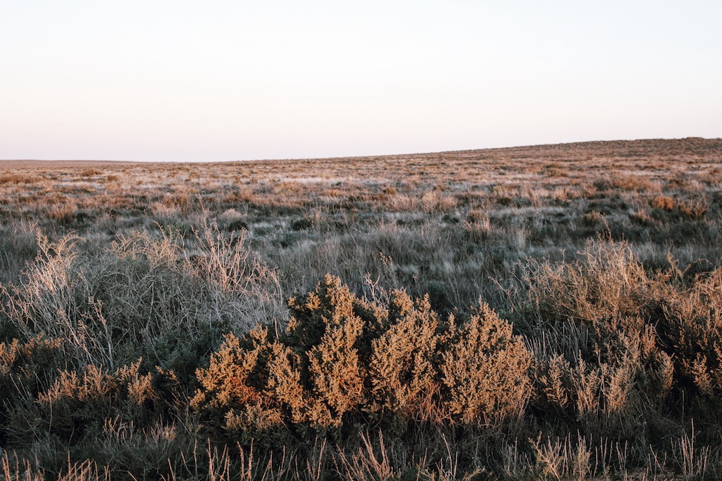 Processed with VSCO with j2 preset