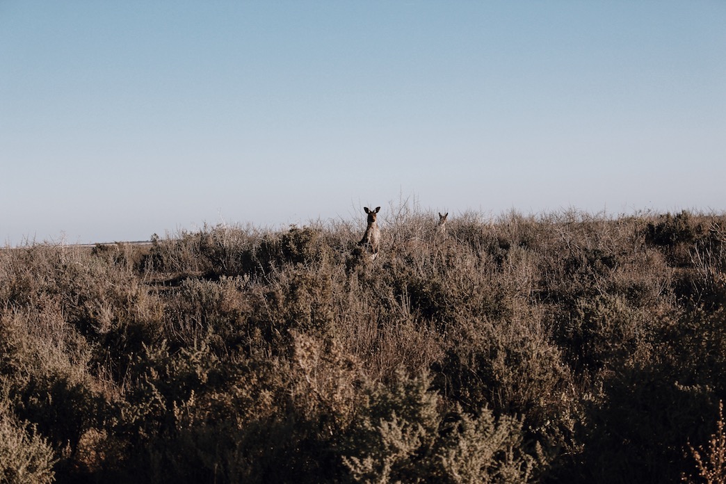 Processed with VSCO with j2 preset