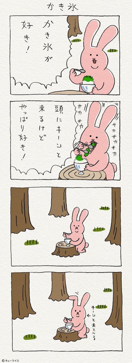 兔吃冰淇淋