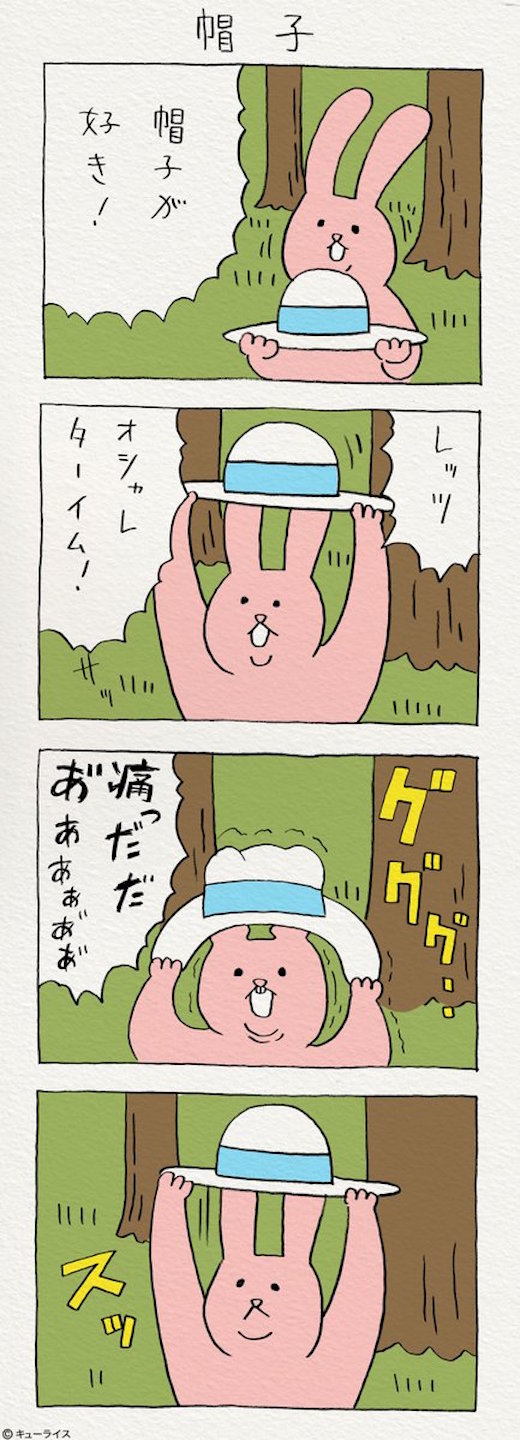 兔戴帽子