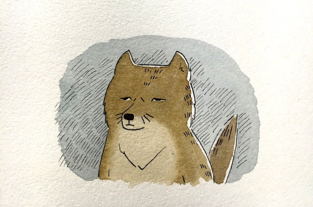 沙钢色