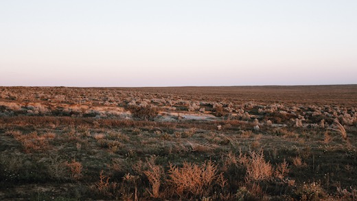 Processed with VSCO with j2 preset