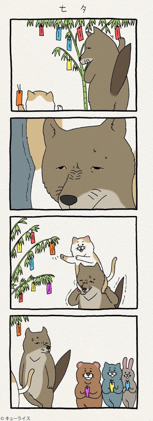 狐七夕背人挂东西