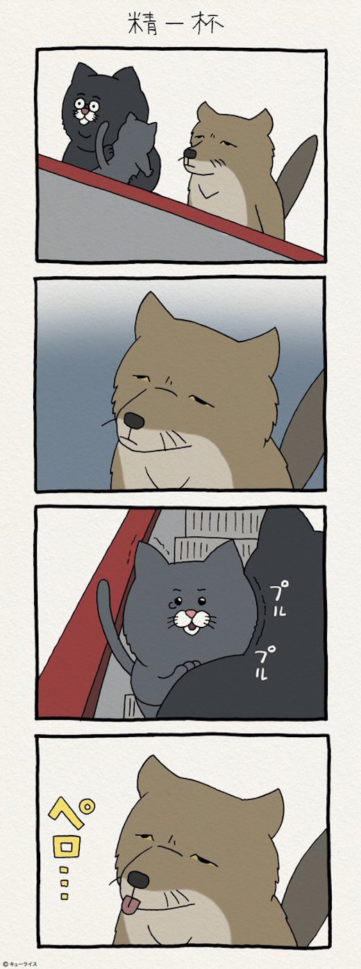 狐电梯小孩
