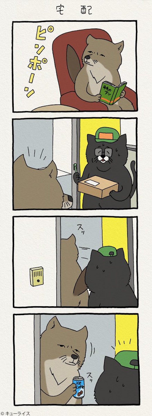 狐给快递员递水