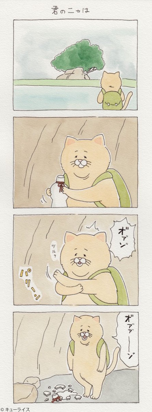 猫你的名字