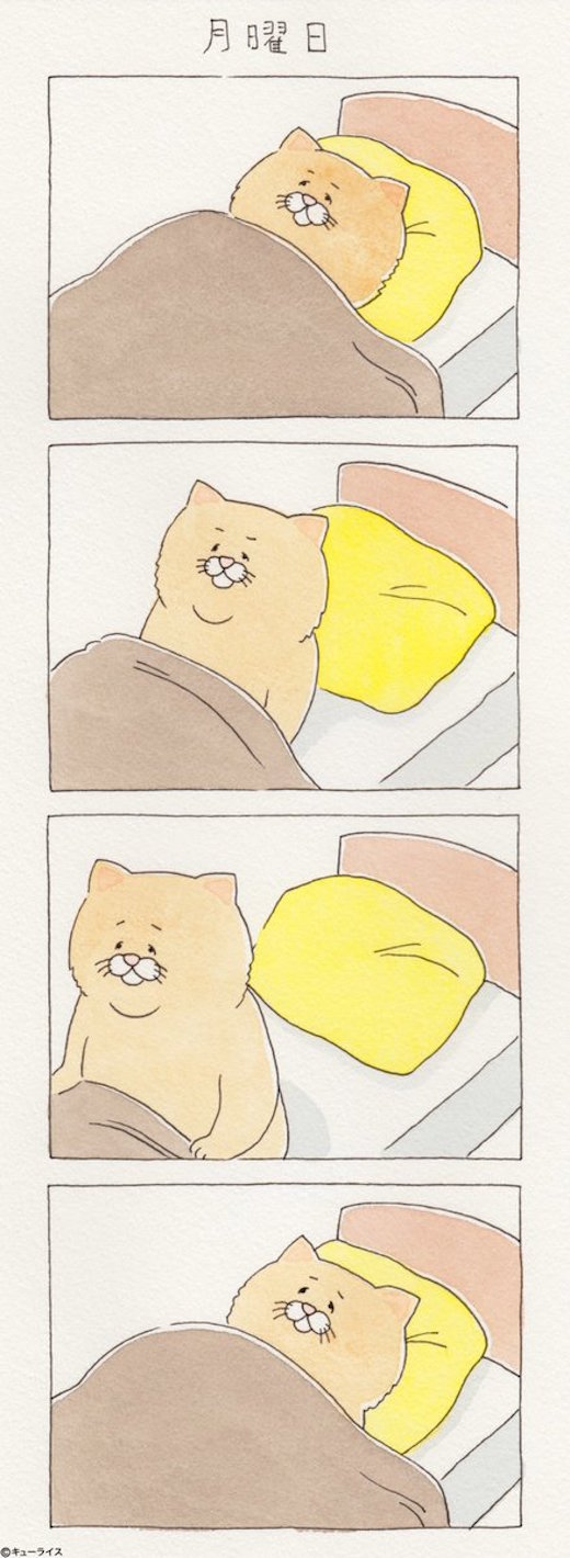 猫周一
