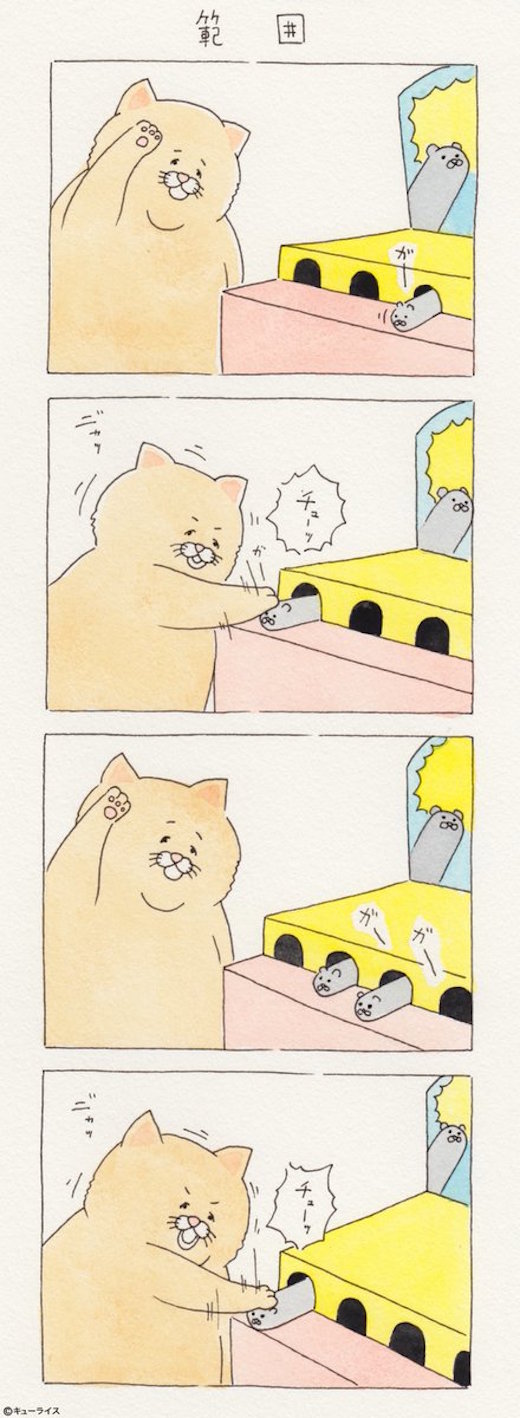 猫地鼠