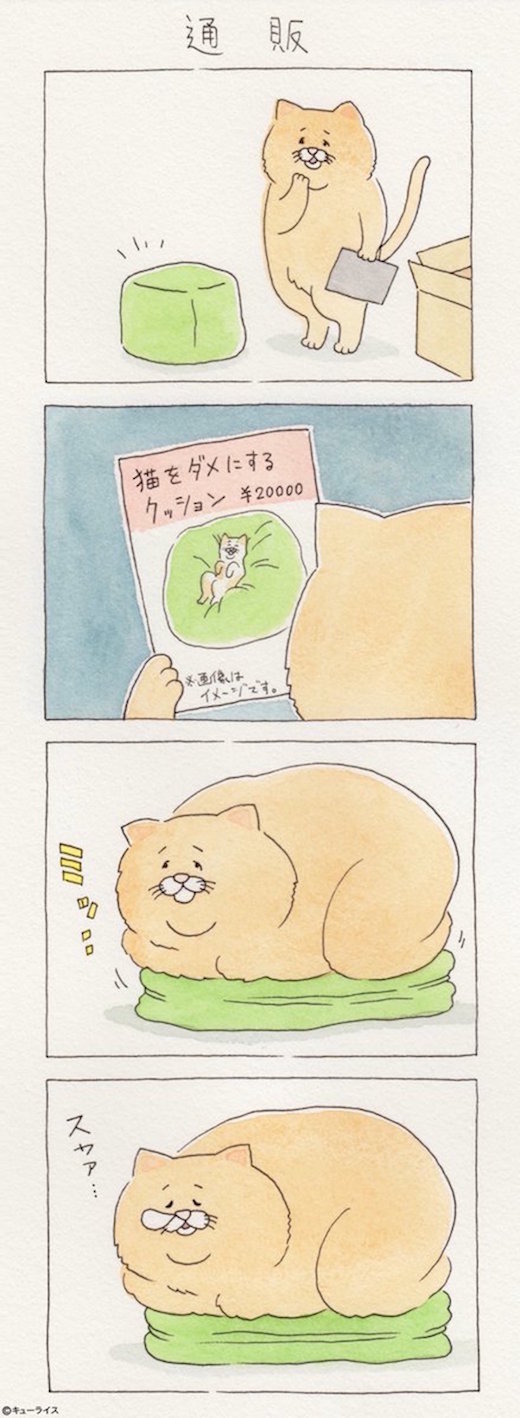 猫坐垫
