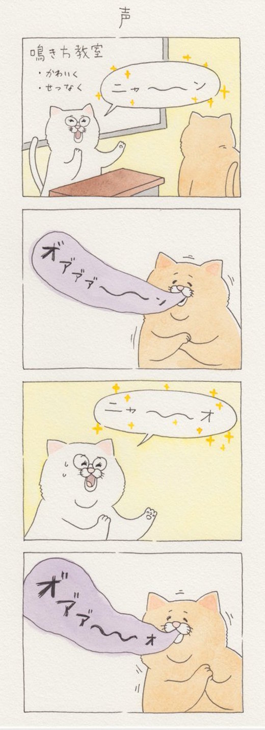 猫教室