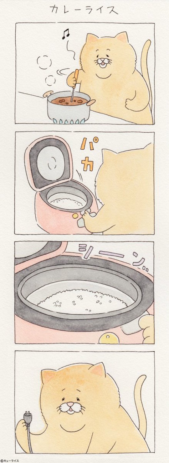 猫电饭锅