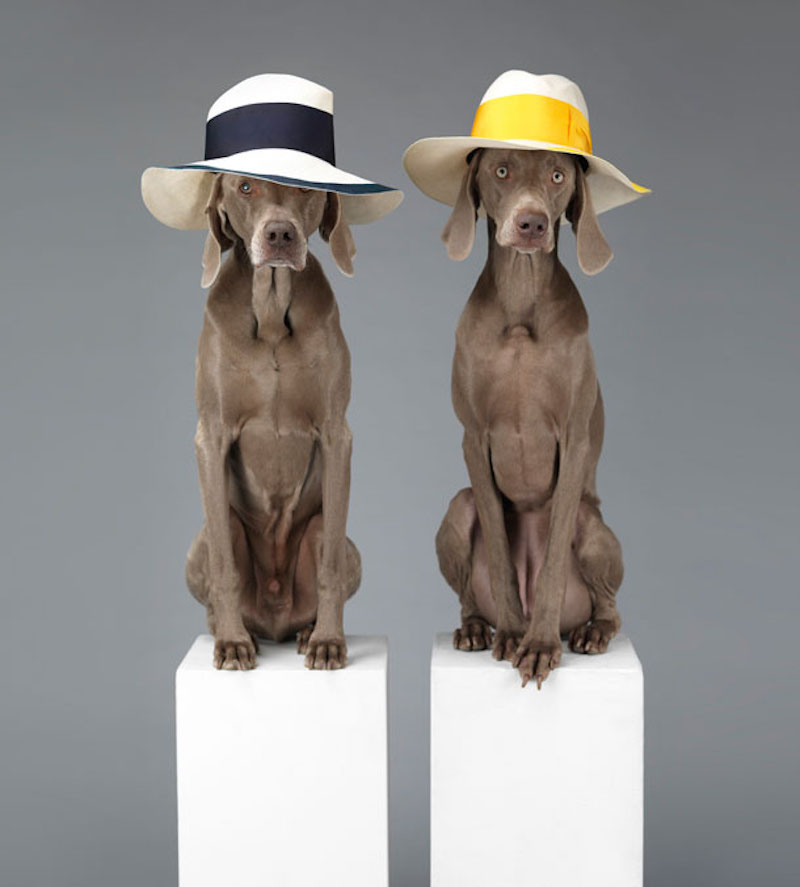 Acne Borsalino Collaboration SS 2013