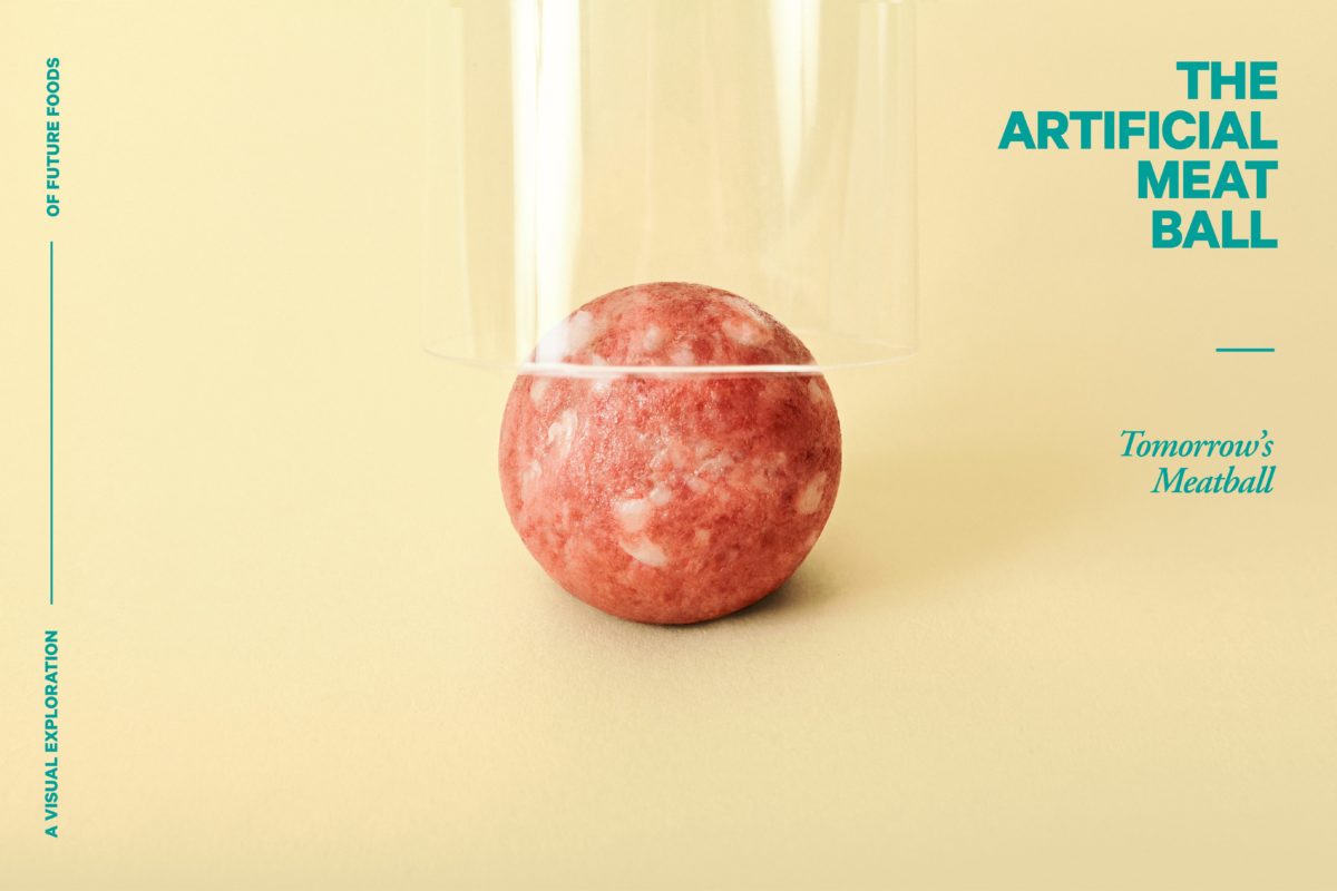 THE ARTIFICIAL MEATBALL