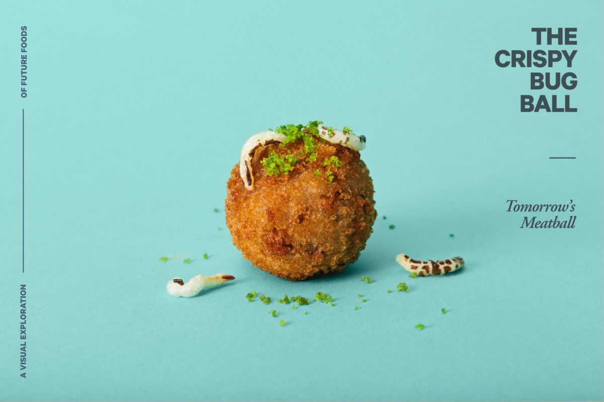 THE CRISPY BUG BALL
