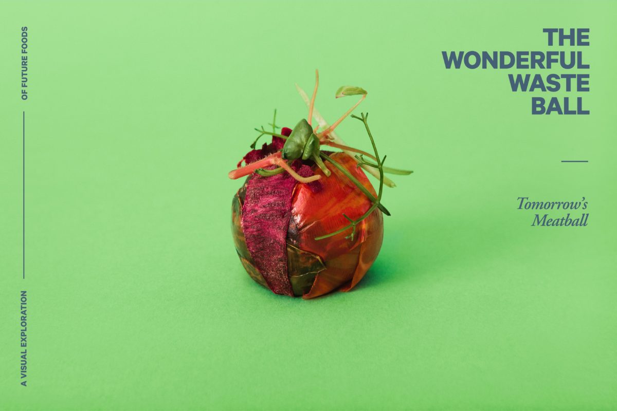 THE WONDERFUL WASTE BALL