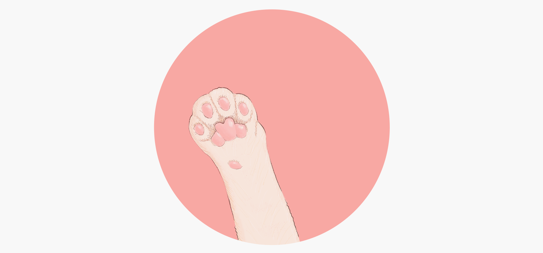 卤猫爪_1
