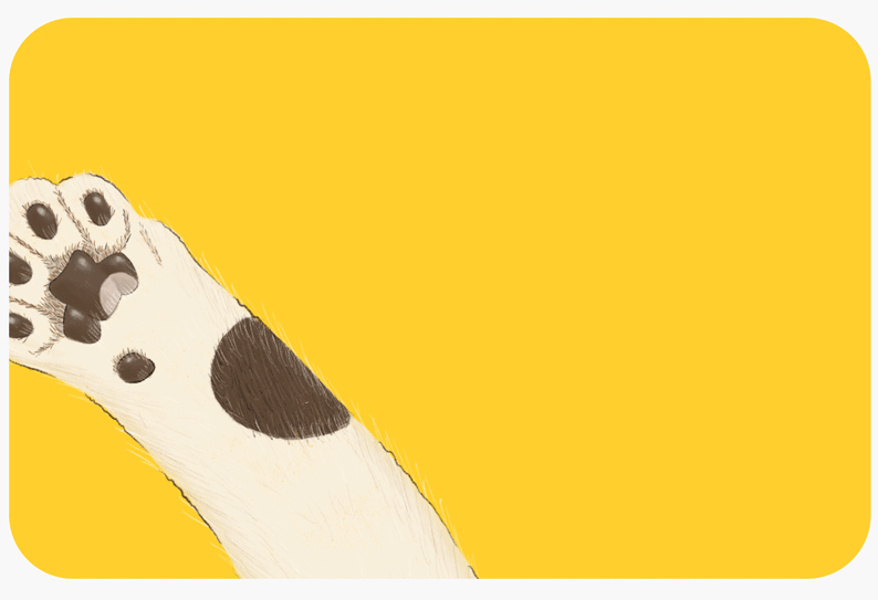 菠萝猫爪