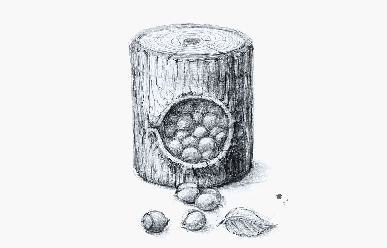 04
