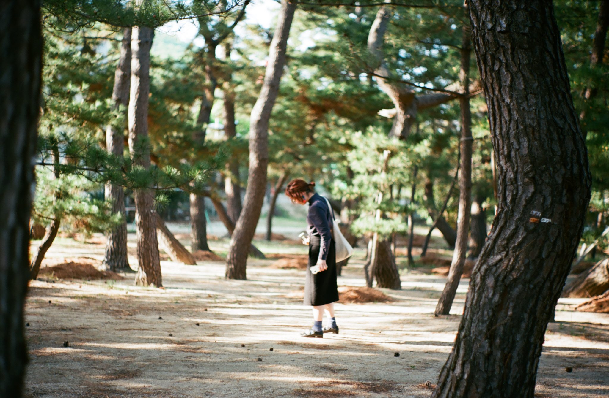 未标题-3