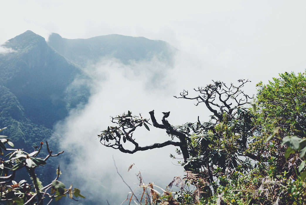 Processed with VSCO with f2 preset