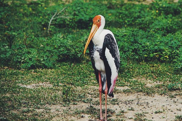 Processed with VSCO with f2 preset