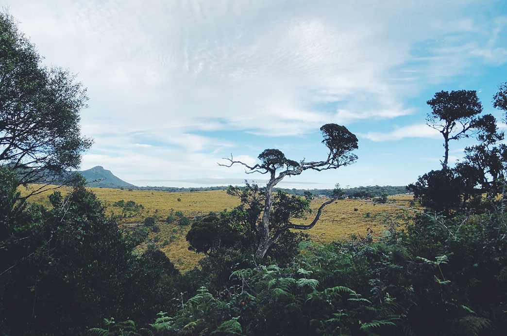 Processed with VSCO with f2 preset