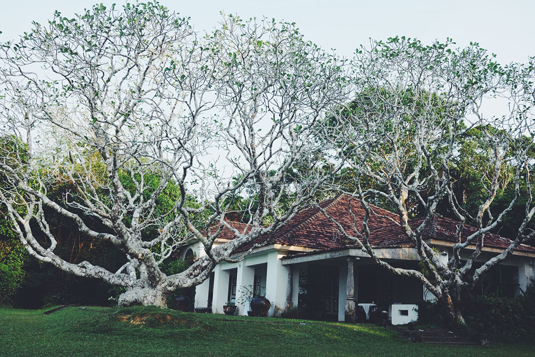 Processed with VSCO with f2 preset