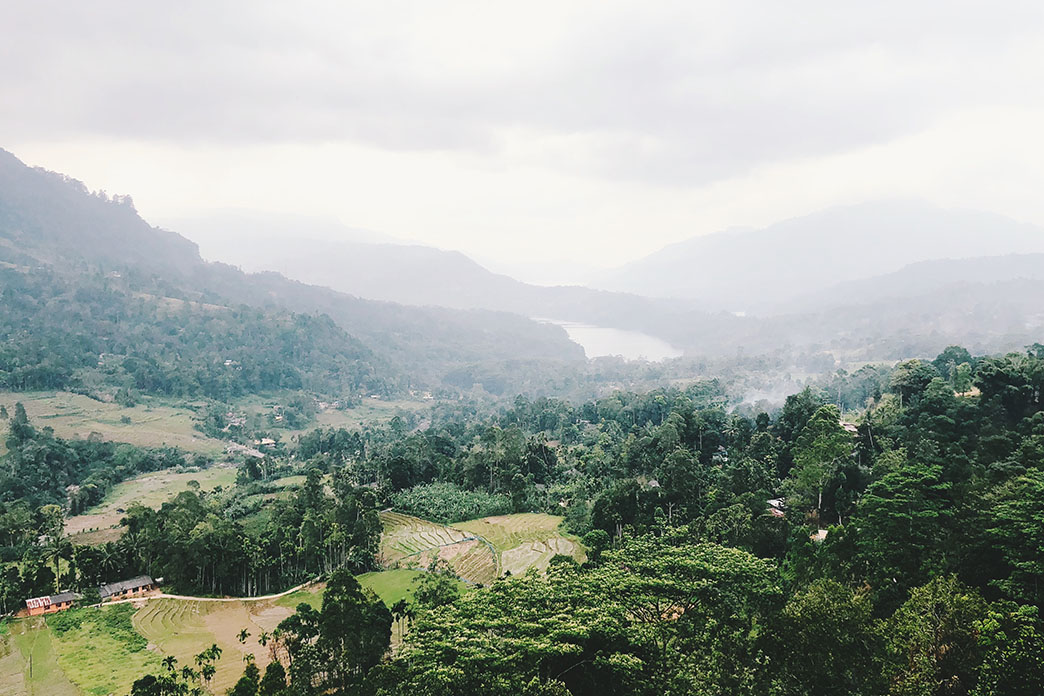 Processed with VSCO with f1 preset