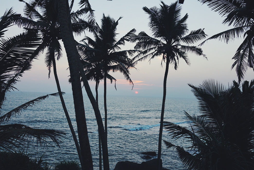Processed with VSCO with f2 preset