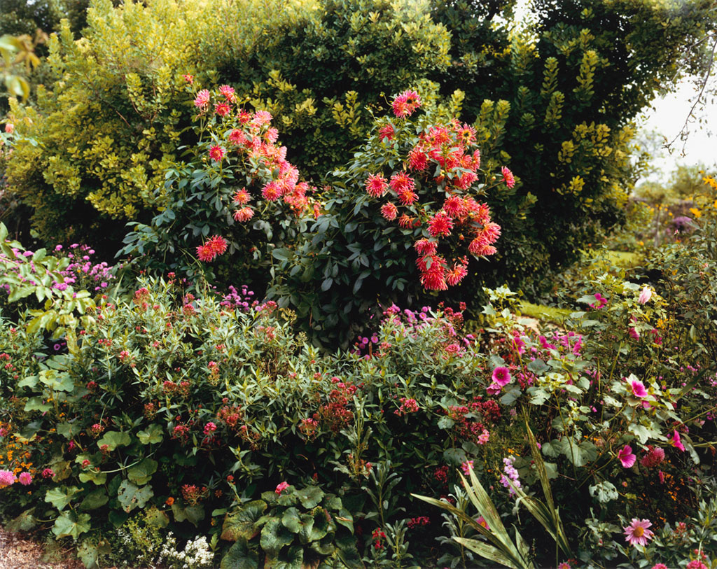 stephenshore-02 (1)
