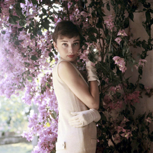 Audrey Hepburn