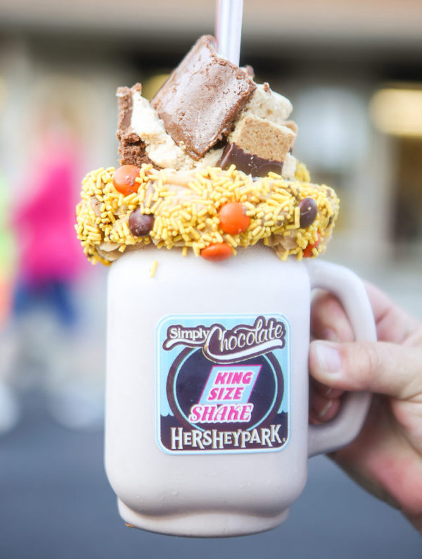 Hersheypark-with-young-kids-TMOM-7-750×1125
