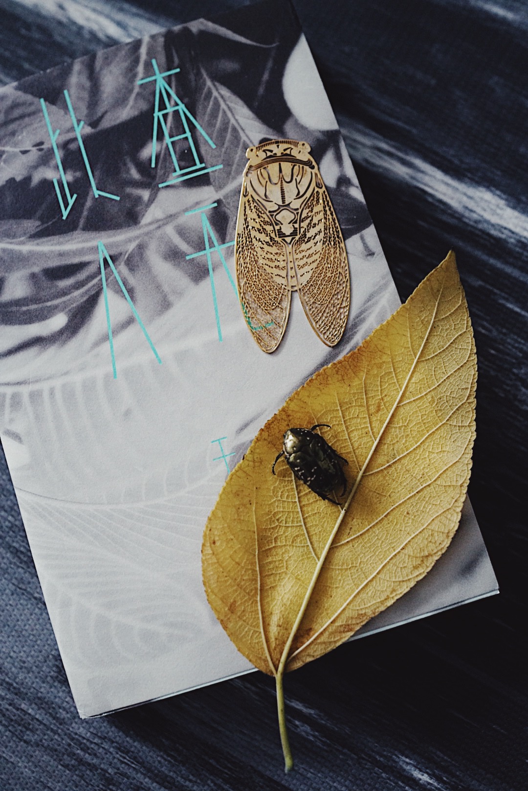 Processed with VSCO with av4 preset
